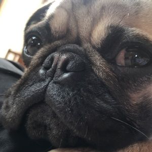 Meet your Posher, Jackson